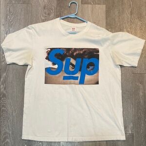 Supreme White Tee with Blue Graphic